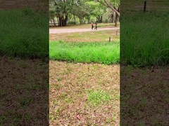 Innovatieve technologie 100W draagbaar zonnepaneel voor buitenavonturen